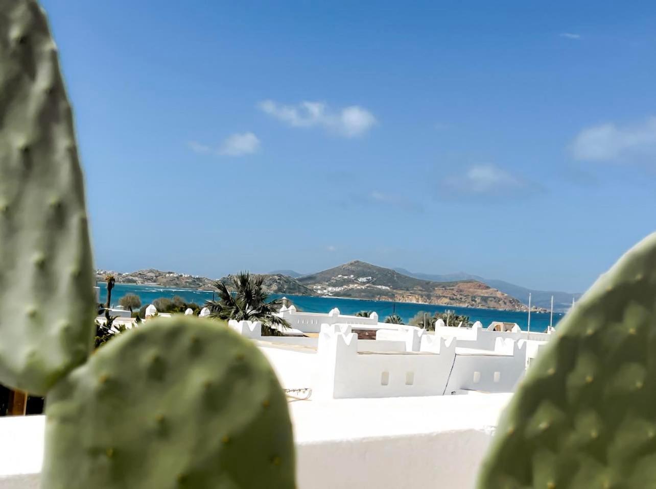 Sea View Casa Apartment Naxos City Екстериор снимка